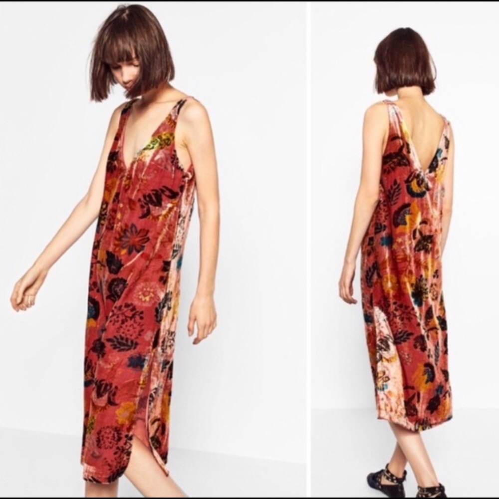 ZARA Trafaluc Floral Velvet Dress